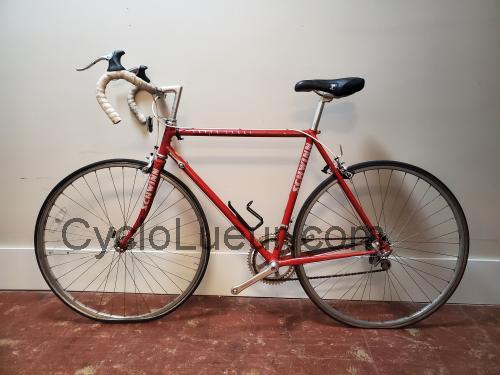 Schwinn Super Sport fiche technique et avis
